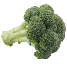 Broccoli